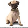 image:imageReal Leather Dog Collar Padded Soft Interiors with Premium Vintage Look Handcrafted Heavy Duty with Tag Ring for Small Medium and Large Pets Small 1 Wide for 1075  1375 Neck BlackOlive