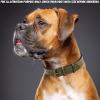 image:imageReal Leather Dog Collar Padded Soft Interiors with Premium Vintage Look Handcrafted Heavy Duty with Tag Ring for Small Medium and Large Pets Small 1 Wide for 1075  1375 Neck BlackOlive