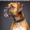 image:imageReal Leather Dog Collar Padded Soft Interiors with Premium Vintage Look Handcrafted Heavy Duty with Tag Ring for Small Medium and Large Pets Small 1 Wide for 1075  1375 Neck BlackBlack