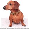 image:imageReal Leather Dog Collar Padded Soft Interiors with Premium Vintage Look Handcrafted Heavy Duty with Tag Ring for Small Medium and Large Pets Small 1 Wide for 1075  1375 Neck BlackCognac