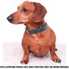image:imageReal Leather Dog Collar Padded Soft Interiors with Premium Vintage Look Handcrafted Heavy Duty with Tag Ring for Small Medium and Large Pets Small 1 Wide for 1075  1375 Neck BlackOcean Blue