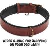 image:imageReal Leather Dog Collar Padded Soft Interiors with Premium Vintage Look Handcrafted Heavy Duty with Tag Ring for Small Medium and Large Pets Small 1 Wide for 1075  1375 Neck BlackOxblood