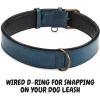 image:imageReal Leather Dog Collar Padded Soft Interiors with Premium Vintage Look Handcrafted Heavy Duty with Tag Ring for Small Medium and Large Pets Small 1 Wide for 1075  1375 Neck BlackOcean Blue