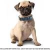 image:imageReal Leather Dog Collar Padded Soft Interiors with Premium Vintage Look Handcrafted Heavy Duty with Tag Ring for Small Medium and Large Pets Small 1 Wide for 1075  1375 Neck BlackOcean Blue